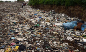 ¿Sábes lo que es littering?